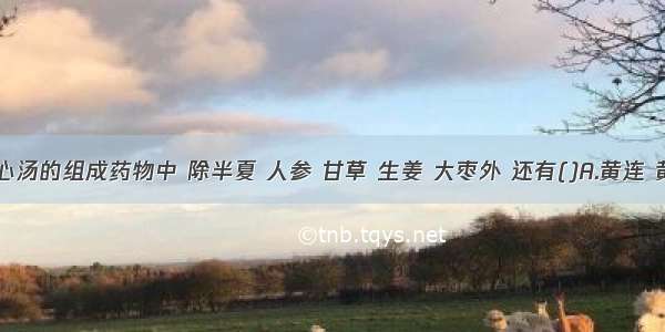 半夏泻心汤的组成药物中 除半夏 人参 甘草 生姜 大枣外 还有()A.黄连 黄柏B.栀