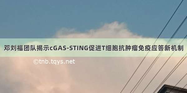 邓刘福团队揭示cGAS-STING促进T细胞抗肿瘤免疫应答新机制