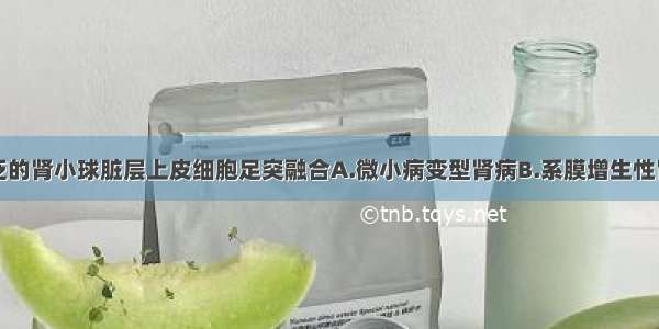 光镜下有广泛的肾小球脏层上皮细胞足突融合A.微小病变型肾病B.系膜增生性肾小球肾炎C.