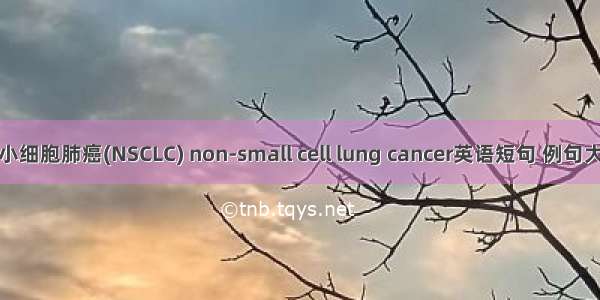 非小细胞肺癌(NSCLC) non-small cell lung cancer英语短句 例句大全