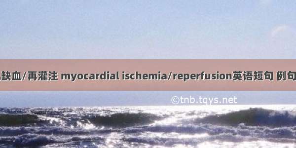 心肌缺血/再灌注 myocardial ischemia/reperfusion英语短句 例句大全