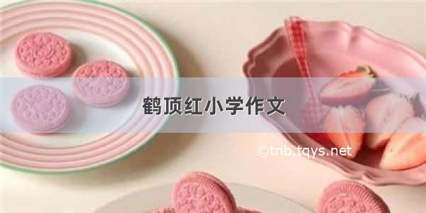 鹤顶红小学作文