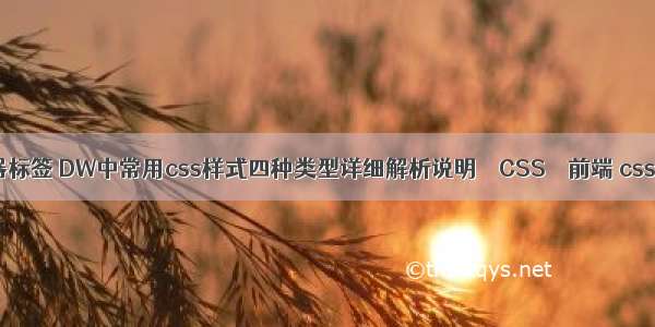 css选择器标签 DW中常用css样式四种类型详细解析说明 – CSS – 前端 css bot拿刀