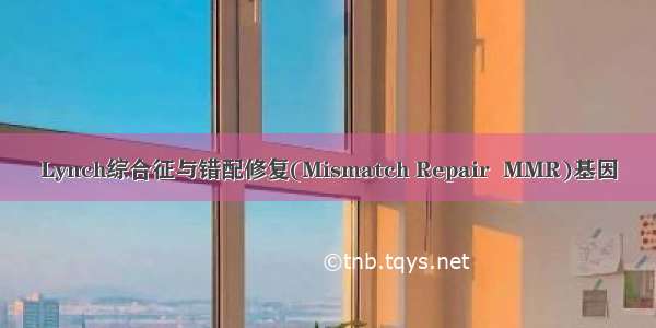 Lynch综合征与错配修复(Mismatch Repair  MMR)基因