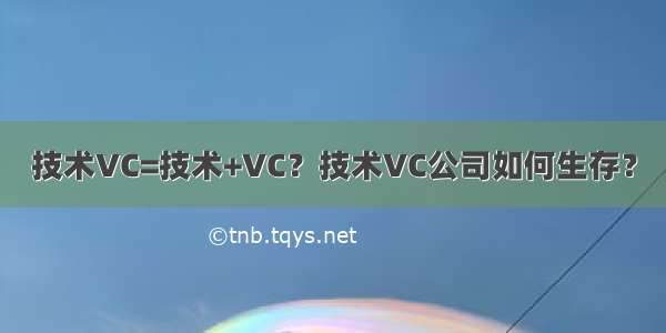 技术VC=技术+VC？技术VC公司如何生存？