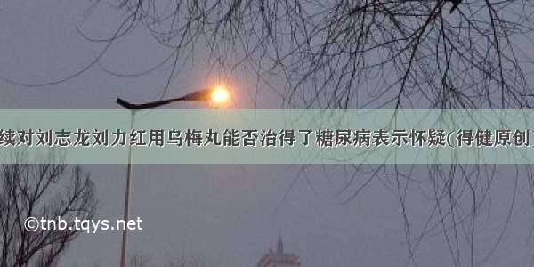 续对刘志龙刘力红用乌梅丸能否治得了糖尿病表示怀疑(得健原创)