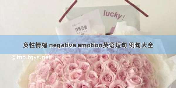 负性情绪 negative emotion英语短句 例句大全