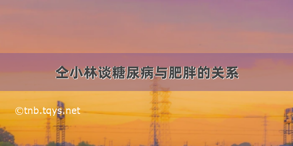 仝小林谈糖尿病与肥胖的关系