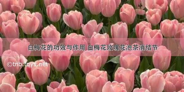 白梅花的功效与作用 白梅花玫瑰花泡茶消结节