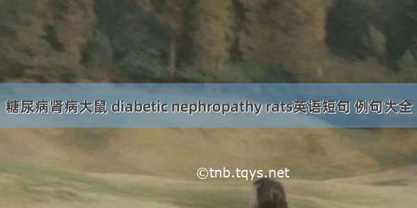 糖尿病肾病大鼠 diabetic nephropathy rats英语短句 例句大全