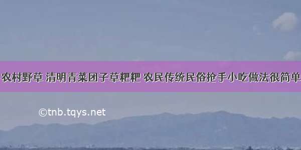 农村野草 清明青菜团子草粑粑 农民传统民俗抢手小吃做法很简单