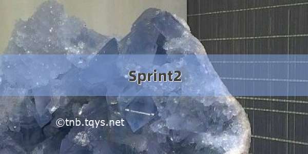 Sprint2