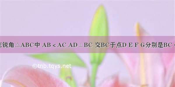 如图所示 在锐角△ABC中 AB＜AC AD⊥BC 交BC于点D E F G分别是BC CA AB的中