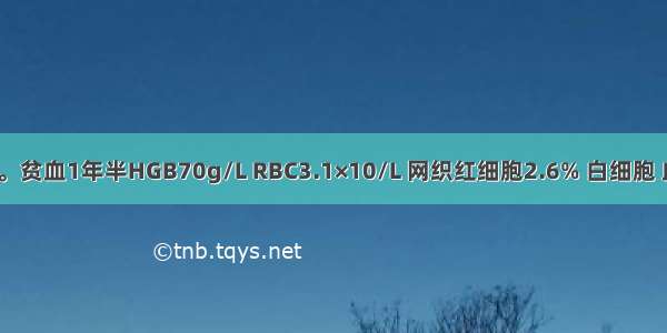 女性 26岁。贫血1年半HGB70g/L RBC3.1×10/L 网织红细胞2.6% 白细胞 血小板正常