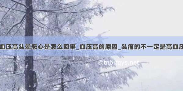 血压高头晕恶心是怎么回事_血压高的原因_头痛的不一定是高血压