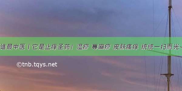 谁最中医丨它是止痒圣药！湿疹 荨麻疹 皮肤瘙痒 统统一扫而光~