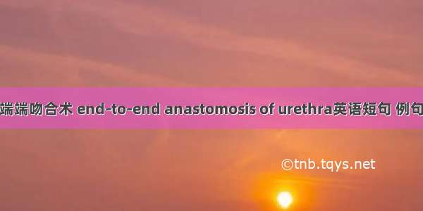 尿道端端吻合术 end-to-end anastomosis of urethra英语短句 例句大全