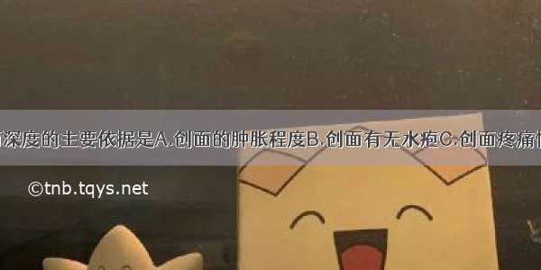 判断烧伤创面深度的主要依据是A.创面的肿胀程度B.创面有无水疱C.创面疼痛情况D.创面渗