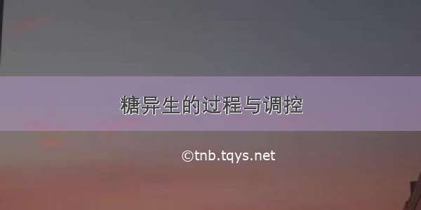 糖异生的过程与调控