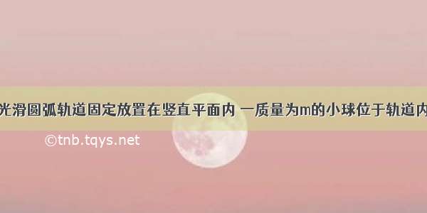 如图所示 光滑圆弧轨道固定放置在竖直平面内 一质量为m的小球位于轨道内侧最低点 