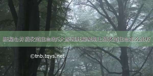 肝癌合并消化道出血的5大原因肝癌晚期上消化道出血怎么治疗