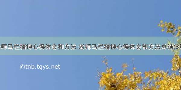 老师马栏精神心得体会和方法 老师马栏精神心得体会和方法总结(8篇)