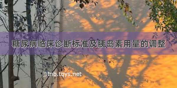 糖尿病临床诊断标准及胰岛素用量的调整