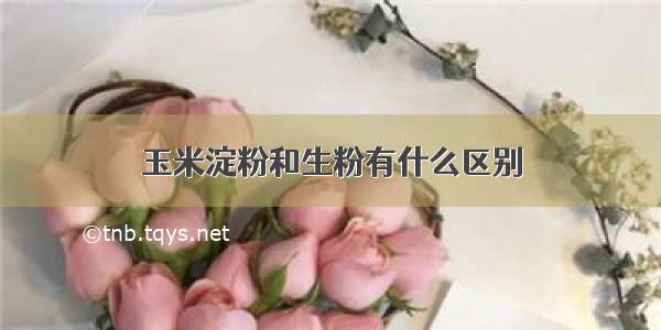 玉米淀粉和生粉有什么区别