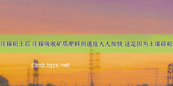 单选题给庄稼松土后 庄稼吸收矿质肥料的速度大大加快 这是因为土壤疏松后A.土壤