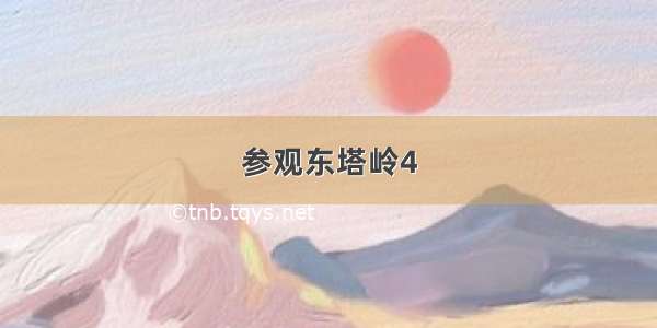 参观东塔岭4