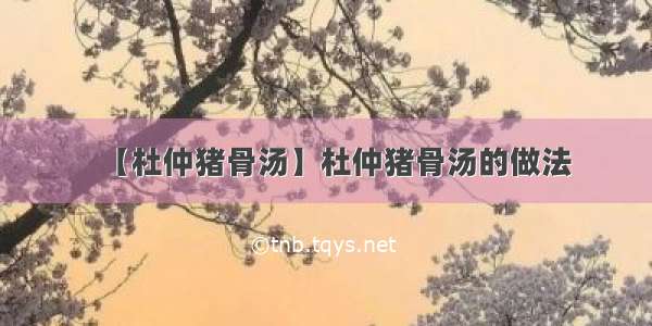 【杜仲猪骨汤】杜仲猪骨汤的做法