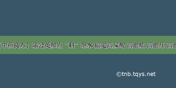 【中药良方】蒲公英加点“料”泡水 搞定高尿酸 高血脂 高血压 高血糖