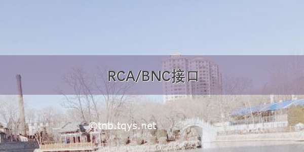 RCA/BNC接口
