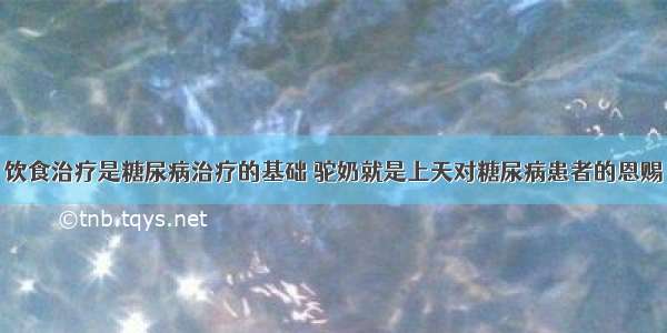 饮食治疗是糖尿病治疗的基础 驼奶就是上天对糖尿病患者的恩赐