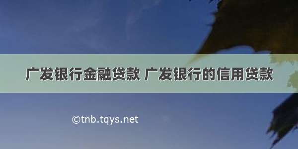 广发银行金融贷款 广发银行的信用贷款