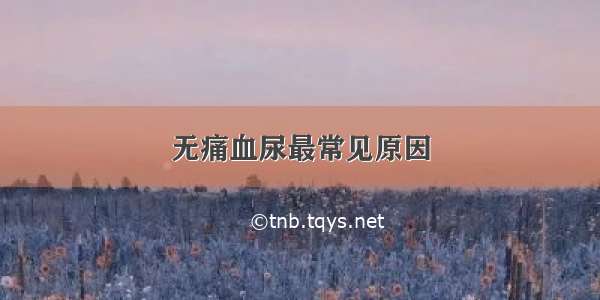 无痛血尿最常见原因