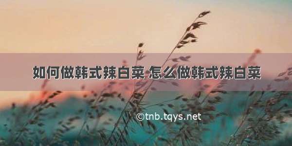 如何做韩式辣白菜 怎么做韩式辣白菜