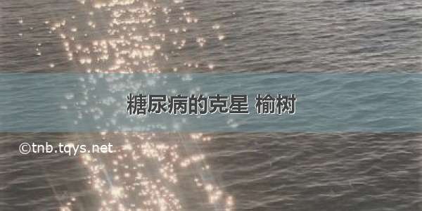 糖尿病的克星 榆树