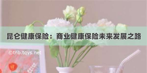 昆仑健康保险：商业健康保险未来发展之路