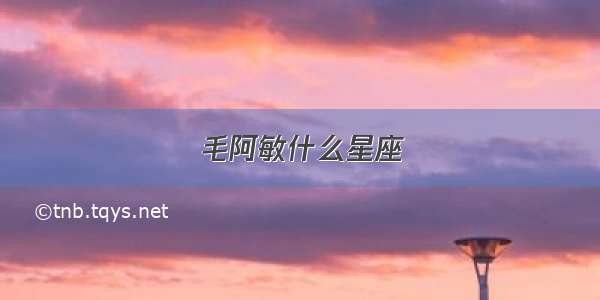 毛阿敏什么星座