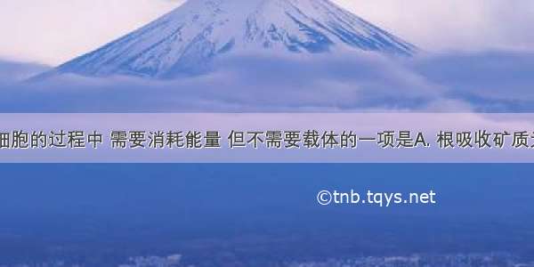 物质出入细胞的过程中 需要消耗能量 但不需要载体的一项是A. 根吸收矿质元素离子B.