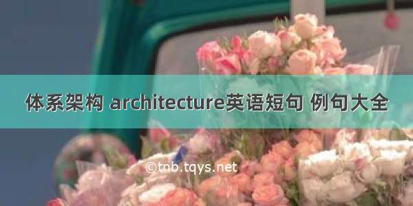 体系架构 architecture英语短句 例句大全