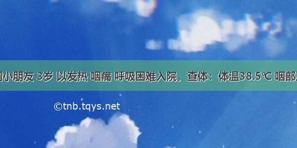 某幼儿园小朋友 3岁 以发热 咽痛 呼吸困难入院。查体：体温38.5℃ 咽部及扁桃体