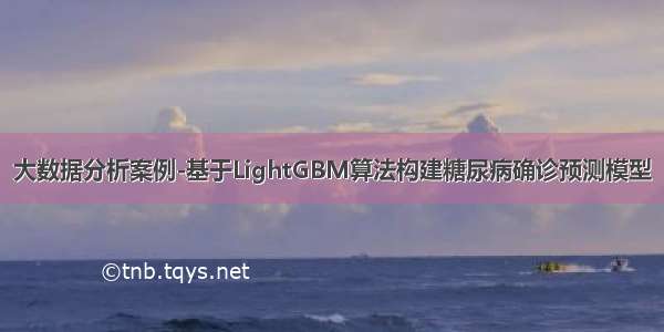 大数据分析案例-基于LightGBM算法构建糖尿病确诊预测模型