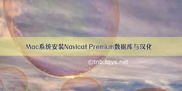 Mac系统安装Navicat Premium数据库与汉化