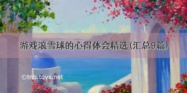 游戏滚雪球的心得体会精选(汇总9篇)