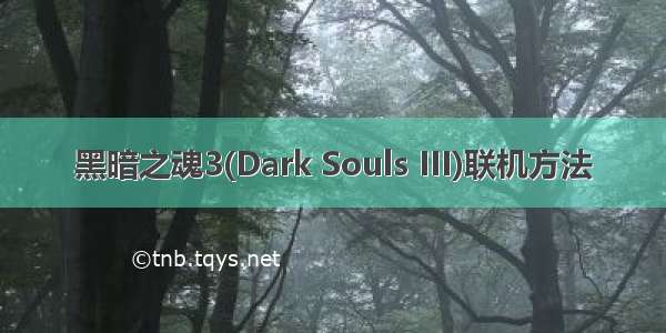 黑暗之魂3(Dark Souls III)联机方法