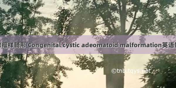 先天性囊性腺瘤样畸形 Congenital cystic adeomatoid malformation英语短句 例句大全