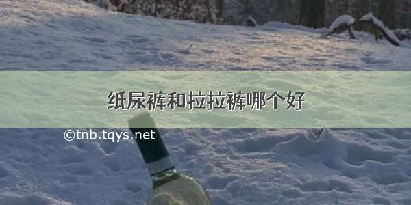 纸尿裤和拉拉裤哪个好