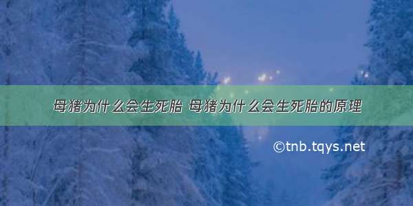 母猪为什么会生死胎 母猪为什么会生死胎的原理